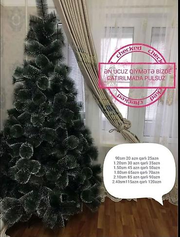 təbii sam agaci satisi: Sifarisle eve getiririk Çatdırılma pulsuz whatsapp aktivdir Yolka — 1
