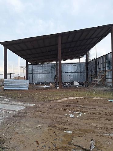 участки на иссык куле купить: ПРОДАЮ ФЕРМУ. РАСПОЛОЖЕНИЕ ФЕРМЫ, СОКУЛУКСКИЙ РАЙОН,ОТ ЦЕНТРА СОКУЛУКА — 1