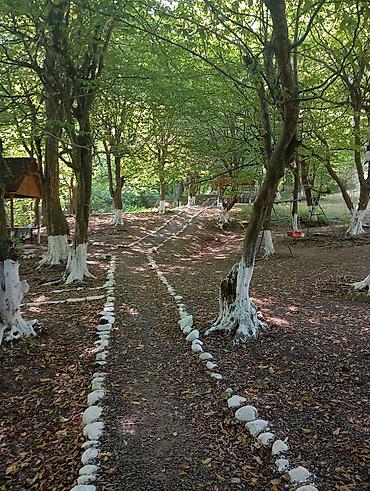 Günlük kirayə evlər: Masalli rayonu. İsti su istirahet merkezine yaxin. Turan restoranina — 34