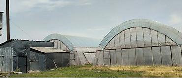 Продажа участков: 300 соток, Для бизнеса, Тех паспорт — 2