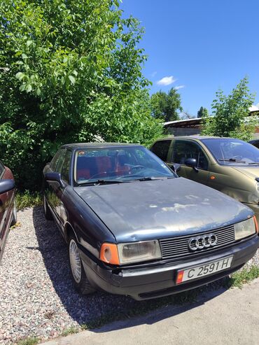 запорожец машина купить: Audi 80: 1989 г., 1.8 л, Механика, Бензин, Седан