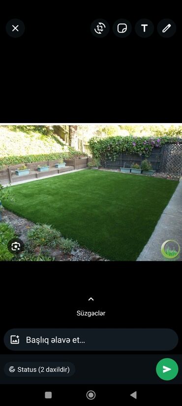 Toxumlar: Qazon çatrlma qurasdrma torf gubresi dermanlanmasi agaclarin ekini — 25