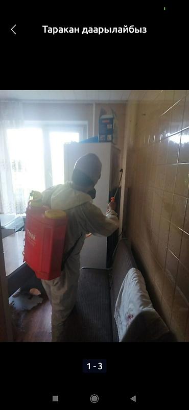 Дезинфекция, дезинсекция: Дезинфекция, дезинсекция, | Клопы, Блохи, Тараканы, | Транспорт, Офисы, Квартиры at lalafo.kg — 9 Дезинфекция, дезинсекция: Дезинфекция, дезинсекция, | Клопы, Блохи, Тараканы, | Транспорт, Офисы, Квартиры — 9