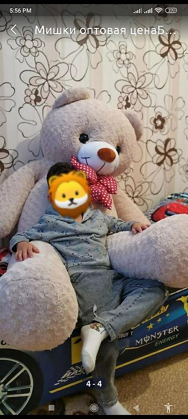 домик kg: Мишки продаётся размер 1,50см. Очень хороший ручной — 3