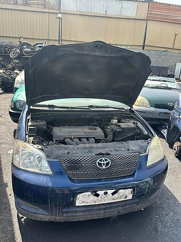 Другие детали кузова: Разбор Toyota Corolla (E120/E130, дорестайлинг/рестайлинг — 1