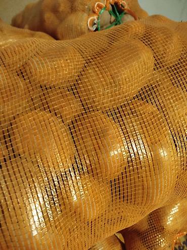 Лук: Лук Оптом, Бесплатная доставка — 3