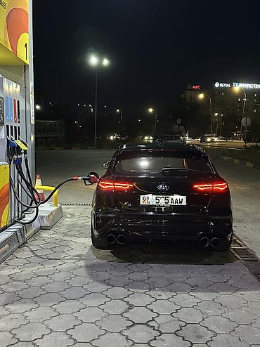 Kia: Kia K3: 2019 г., 1.6 л, Автомат, Бензин, Седан — 7