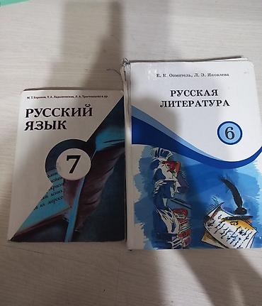 Китептер жана журналдар: Орус тили, 8-класс, Колдонулган, Акылуу жеткирүү — 4