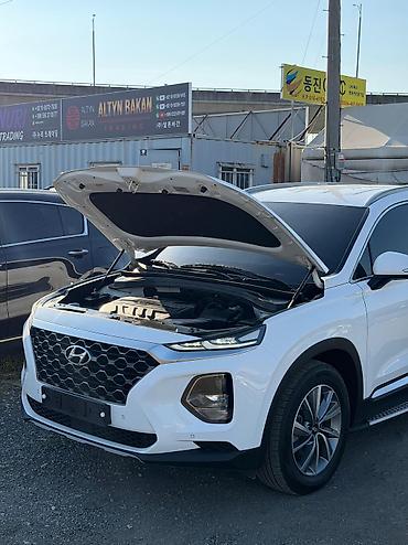 фе: Hyundai Santa Fe: 2019 г., 2 л, Автомат, Дизель — 7