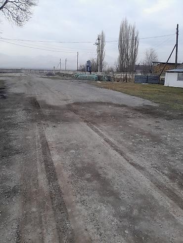 участок 4000: Сдаю в аренду : Холодильник Овоще-фрукто хранилище: Из 5 отсеков — 4