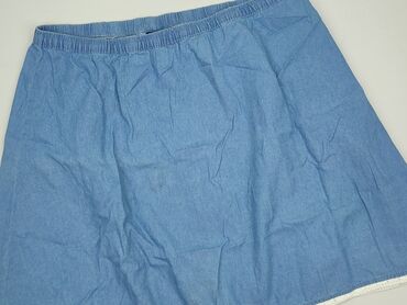tanie sukienki na lato dla puszystych: Janina, Spódnica damska, rozmiar 2XL