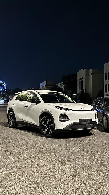 чон: Ижарага берем Changan, Күнүмдүк, Айдоочусуз, | Күрөө, Айдоочулук күбөлүк — 3