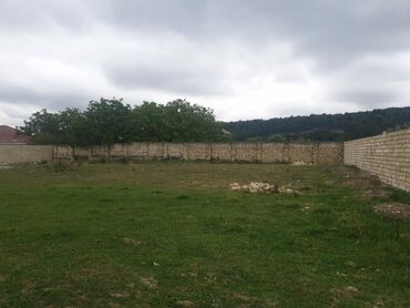 Torpaq sahələrinin satışı: 15 sot, Kənd təsərrüfatı, Mülkiyyətçi, Kupça (Çıxarış) — 21