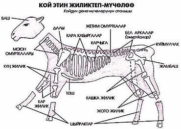 забой быка: Выездные банкеты | Касапчы — 4