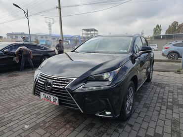 авто автомат: Lexus NX: 2019 г., 2 л, Автомат, Бензин, Кроссовер