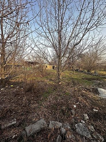 Продажа домов: Дом, 170 м², 6 комнат, Агентство недвижимости, Старый ремонт — 14