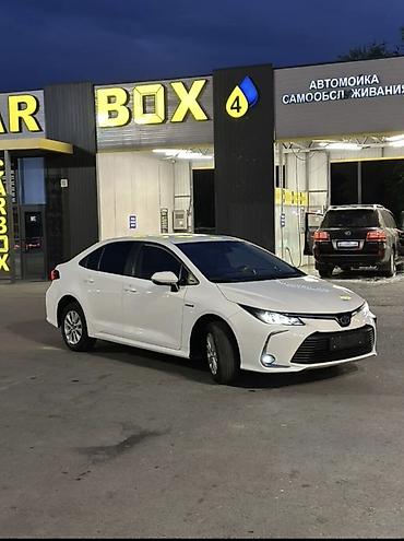 voxy noah: Toyota Corolla: 2021 г., 1.8 л, Вариатор, Гибрид, Седан — 2