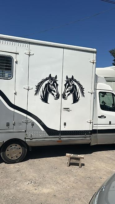 гольф кары: Коневоз Mercedes-Benz 412D Назначение: безопасная и удобная перевозка — 2