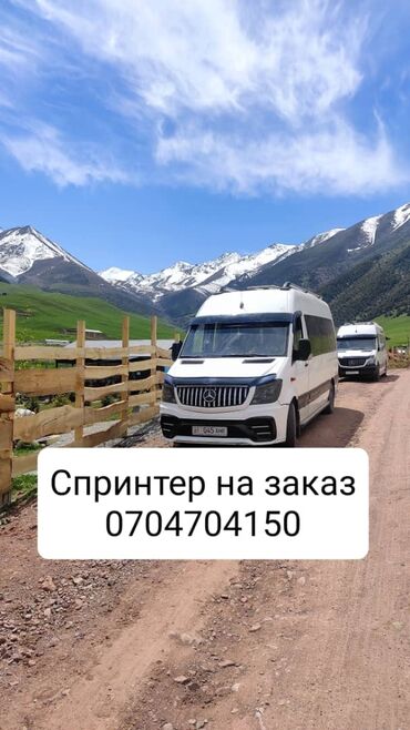 рекс морда: Автобус, Mercedes-Benz, 2010 г., 16-21 орун