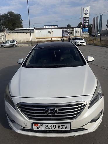 Hyundai Sonata: 2014 г., 0.2 л, Автомат, Газ, Седан