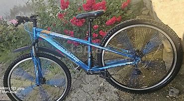 idman velosipedi type 1: Velosiped “Sportmaster” – dağ/şosse tipli, 29" təkərli. Rusiya — 5