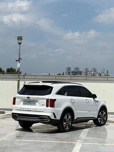e klass: Kia Sorento: 2020 г., 1.6 л, Автомат, Гибрид — 10