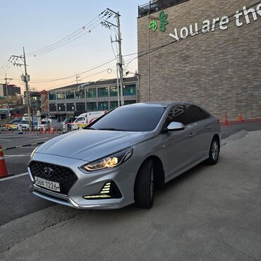 антифриз: Hyundai Sonata: 2020 г., 2 л, Автомат, Газ, Седан