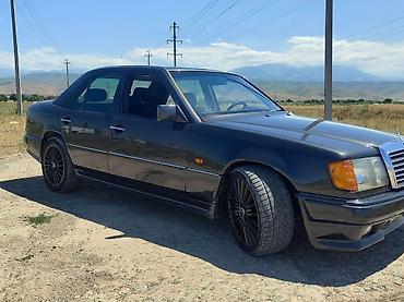 решетка на 124: Mercedes-Benz W124: 1993 г., 2.5 л, Механика, Бензин — 5