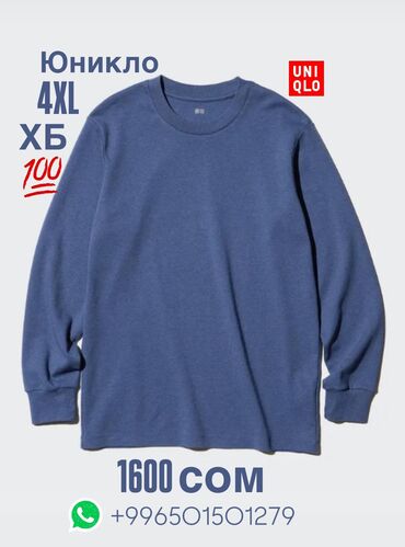 мужская повседневная одежда: Мужская толстовка, 4XL (EU 48), Uniqlo, Новый, цвет - Голубой, Самовывоз