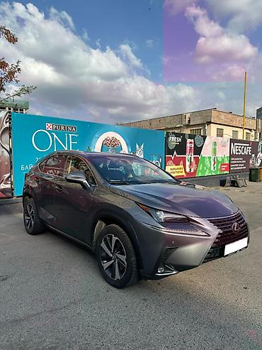 lexus cs: Lexus NX: 2017 г., 2 л, Автомат, Бензин, Кроссовер — 6