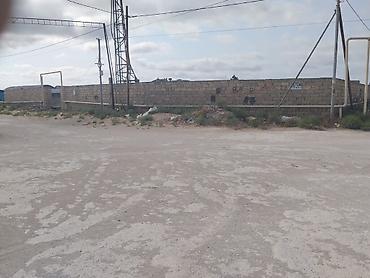 Torpaq sahələrinin satışı: 13 sot, Tikinti, Kupça (Çıxarış) — 2