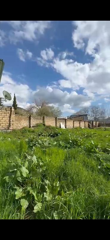 baksol yolu dernegul: 10 sot, Mülkiyyətçi, Kupça (Çıxarış) — 7