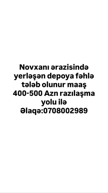 Avtobiznes, servis xidmətləri: Digər ixtisaslar