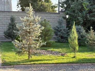 Отели и хостелы: Продается Гостевой дом или дача в Новопокровке (ближе к центру) — 7