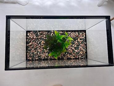 100 l akvarium: Dördbucaq akvarium, Boş, 9 l, Ünvandan götürmə — 1