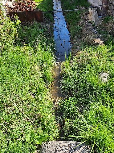 Продажа коттеджей и домов: Продаю участок (с домом, возможно под снос) 20лет никто не жил и есть — 4