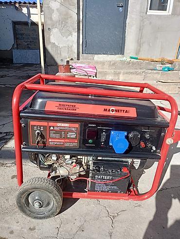 Генераторы: Бензо-газовый электрогенератор MAGNETTA GFE8000G Основные — 6