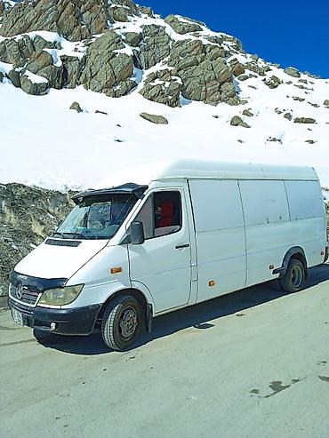 двери авто: Легкий грузовик, Mercedes-Benz, Стандарт, Б/у — 1