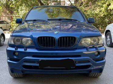 BMW: BMW X5: 3 л | 2001 г. | 150 км | Внедорожник