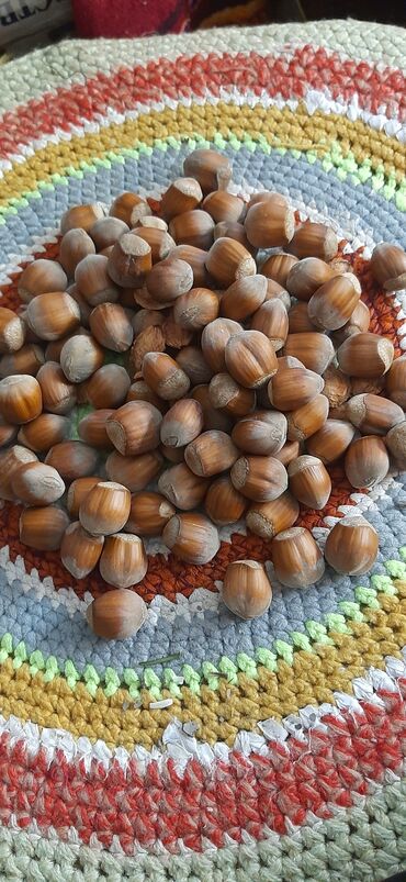 Садовые цветы и кустарники: Саженцы цветка: Пионы, Самовывоз at lalafo.kg — 4 Садовые цветы и кустарники: Саженцы цветка: Пионы, Самовывоз — 4