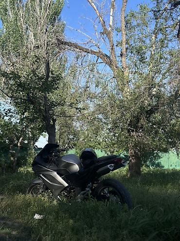 теккен мотоцикл: Спортбайк Kawasaki, 450 куб. см, Бензин, Взрослый, Б/у — 10