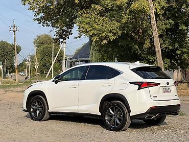 300 000: Lexus NX: 2020 г., 2 л, Автомат, Бензин, Кроссовер — 8