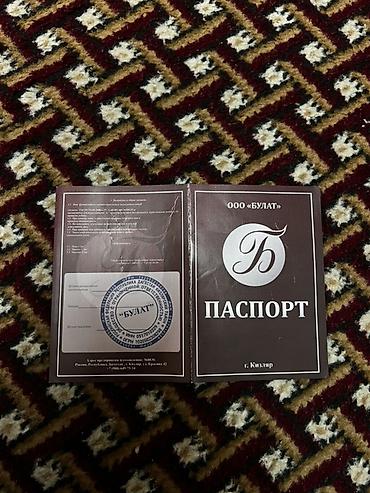 Охотничьи ножи: Нож, Туристический, Новый at lalafo.kg — 9 Охотничьи ножи: Нож, Туристический, Новый — 9