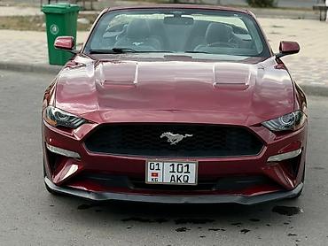 Ford: Ford Mustang: 2018 г., 2.3 л, Автомат, Бензин, Кабриолет — 1