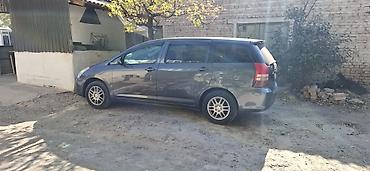 ижара авто: Toyota WISH: 2003 г., 1.8 л, Автомат, Бензин, Вэн/Минивэн — 5