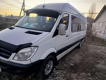 w463 g class: Количество мест: 18, Лицензия №: 08В006364 — 3