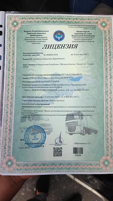 отслеживание: Заказать Мерседес грузовой спринтер, С пирамидой — 7