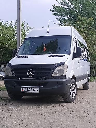 Автобус на заказ: Спринтер на заказ на любые направление походы на природу свадьбы at lalafo.kg — 11 Автобус на заказ: Спринтер на заказ на любые направление походы на природу свадьбы — 11