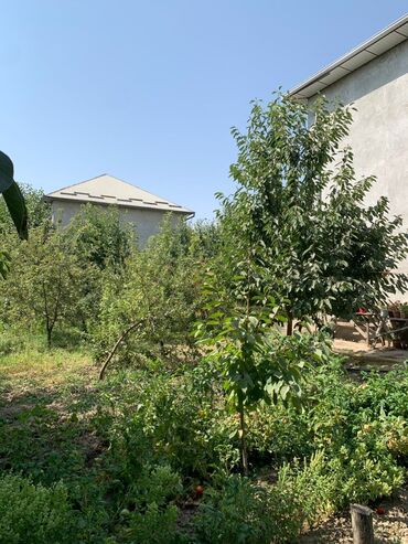 Долгосрочная аренда домов: 276 м², 9 комнат, Балкон застеклен, Подвал, погреб, Забор, огорожен — 4