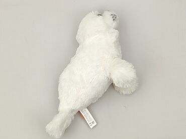 Mascot condition - Very good
